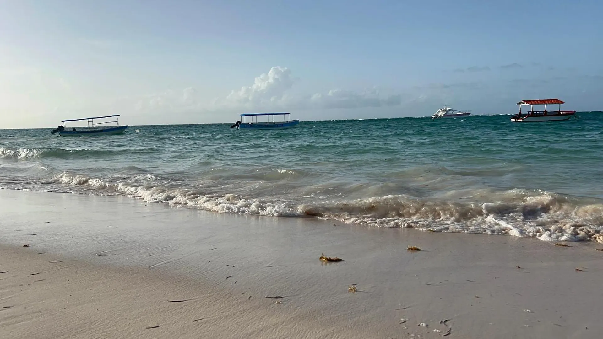 Caminando A Playa Bavaro Punta Cana